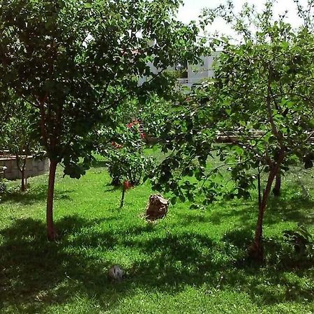 Sunny Garden Studio Athens Ngoại thất bức ảnh