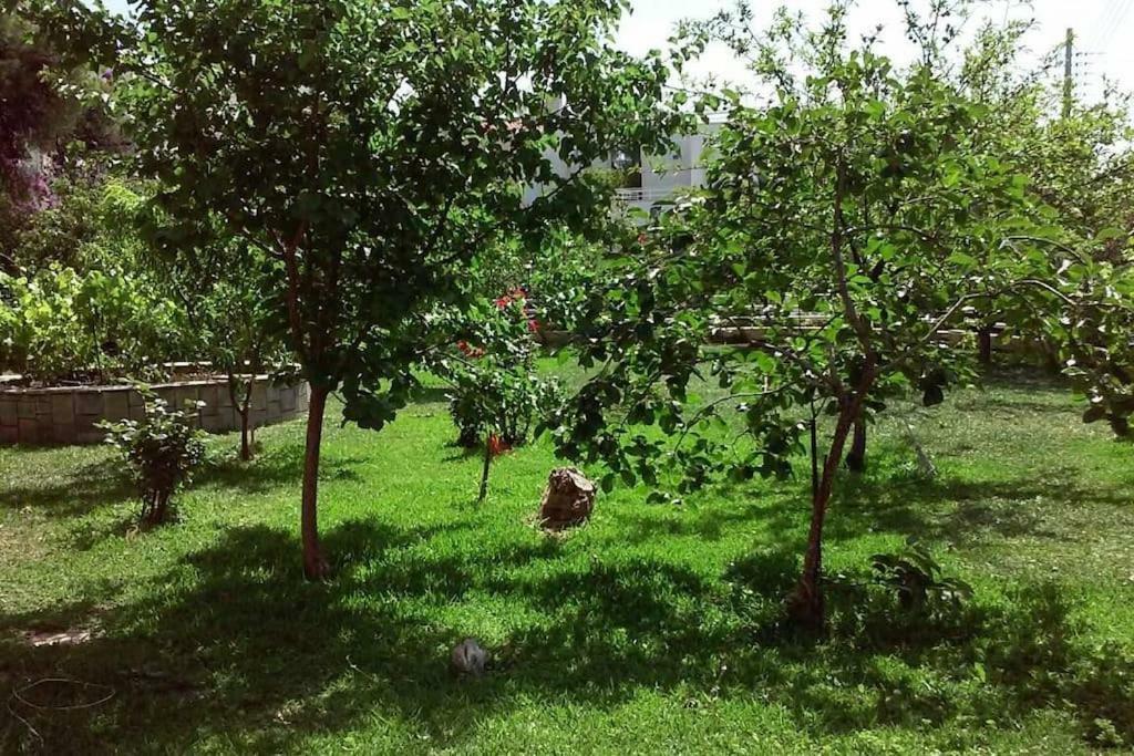Sunny Garden Studio Athens Ngoại thất bức ảnh